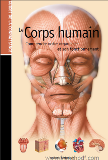 Le Corps Humain : Comprendre notre organisme et son fonctionnement